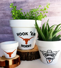 Load image into Gallery viewer, Screaming Bevo