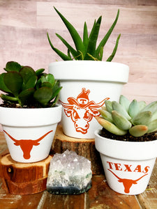 Hook 'Em Horns