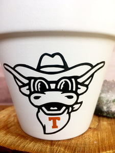 Bevo