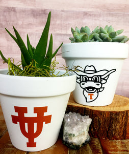 Bevo
