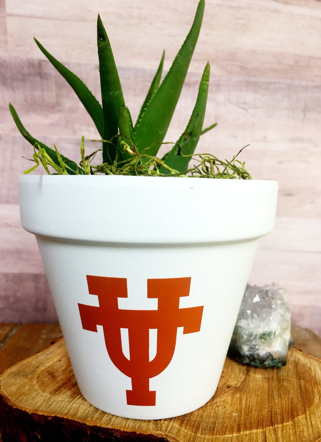 UT Logo