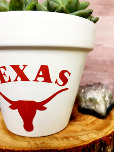 Texas Longhorn