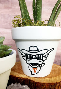 Bevo