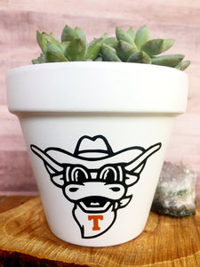 Bevo
