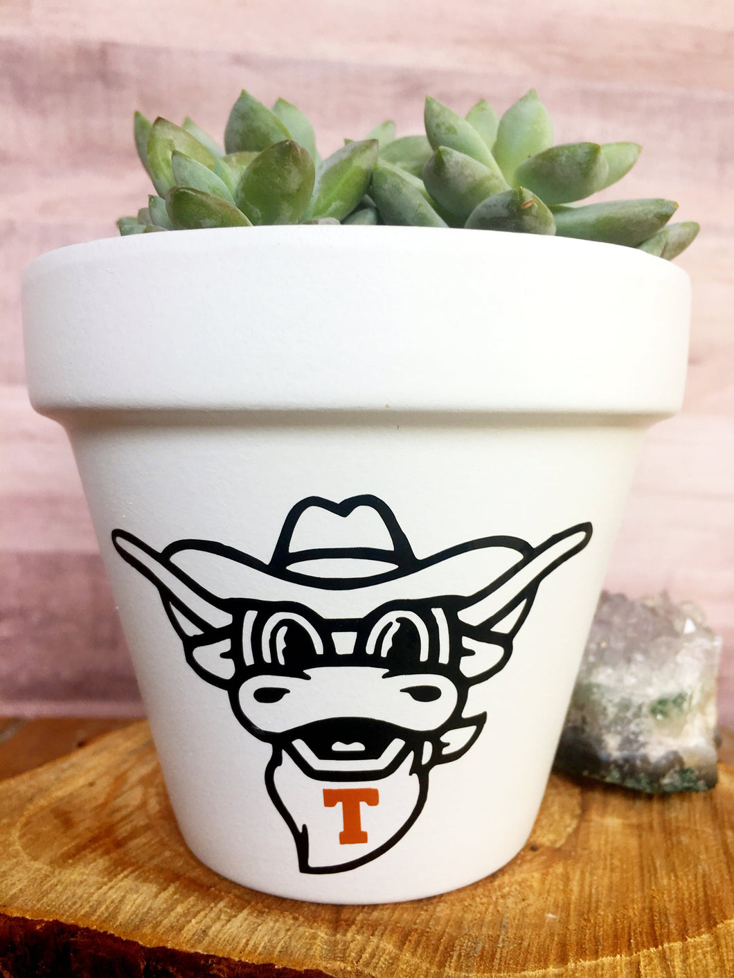 Bevo