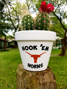 Hook 'Em Horns