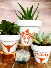 Load image into Gallery viewer, 1977 Vintage Bevo