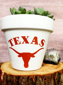 Texas Longhorn