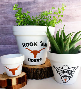 Longhorn Pot