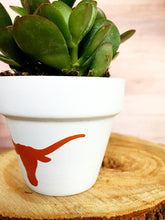 Load image into Gallery viewer, Longhorn Pot