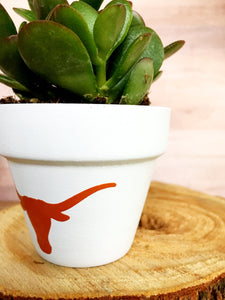 Longhorn Pot