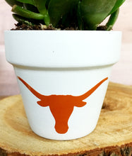 Load image into Gallery viewer, Longhorn Pot