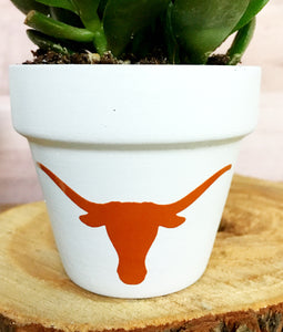 Longhorn Pot