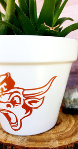 Screaming Bevo