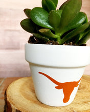 Load image into Gallery viewer, Longhorn Pot