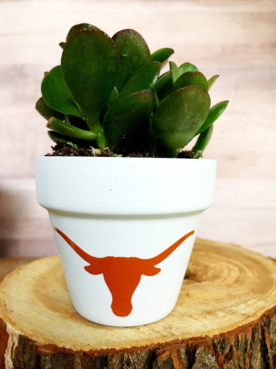 Longhorn Pot