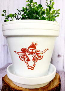 1977 Vintage Bevo